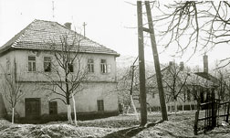 Pogled na kuće porodice Maglajlić. Snimljeno 1968.godine.